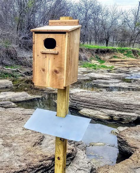 metal wood duck box|wood duck nesting boxes styles.